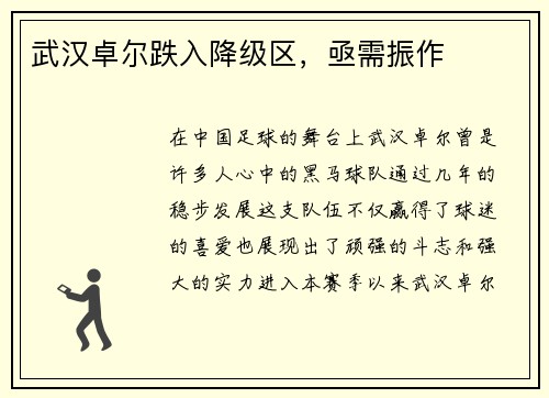 武汉卓尔跌入降级区，亟需振作